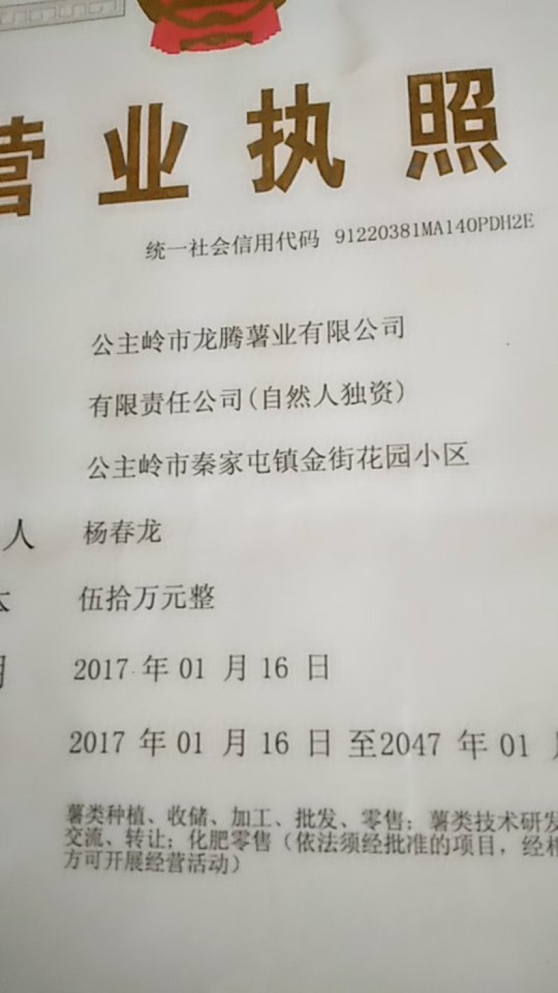 尤金885精品土豆辽宁产地直销一手货源库存量大