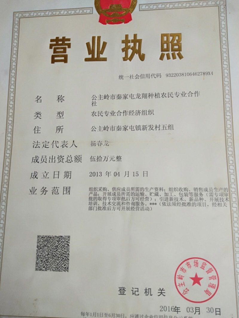 尤金885精品土豆辽宁产地直销一手货源库存量大