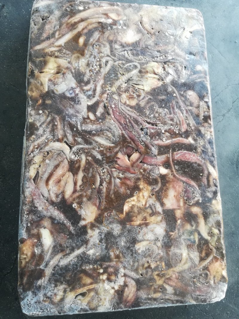 鱿鱼须鱿鱼头秘鲁鱿鱼头秘鲁鱿鱼赤道鱿鱼