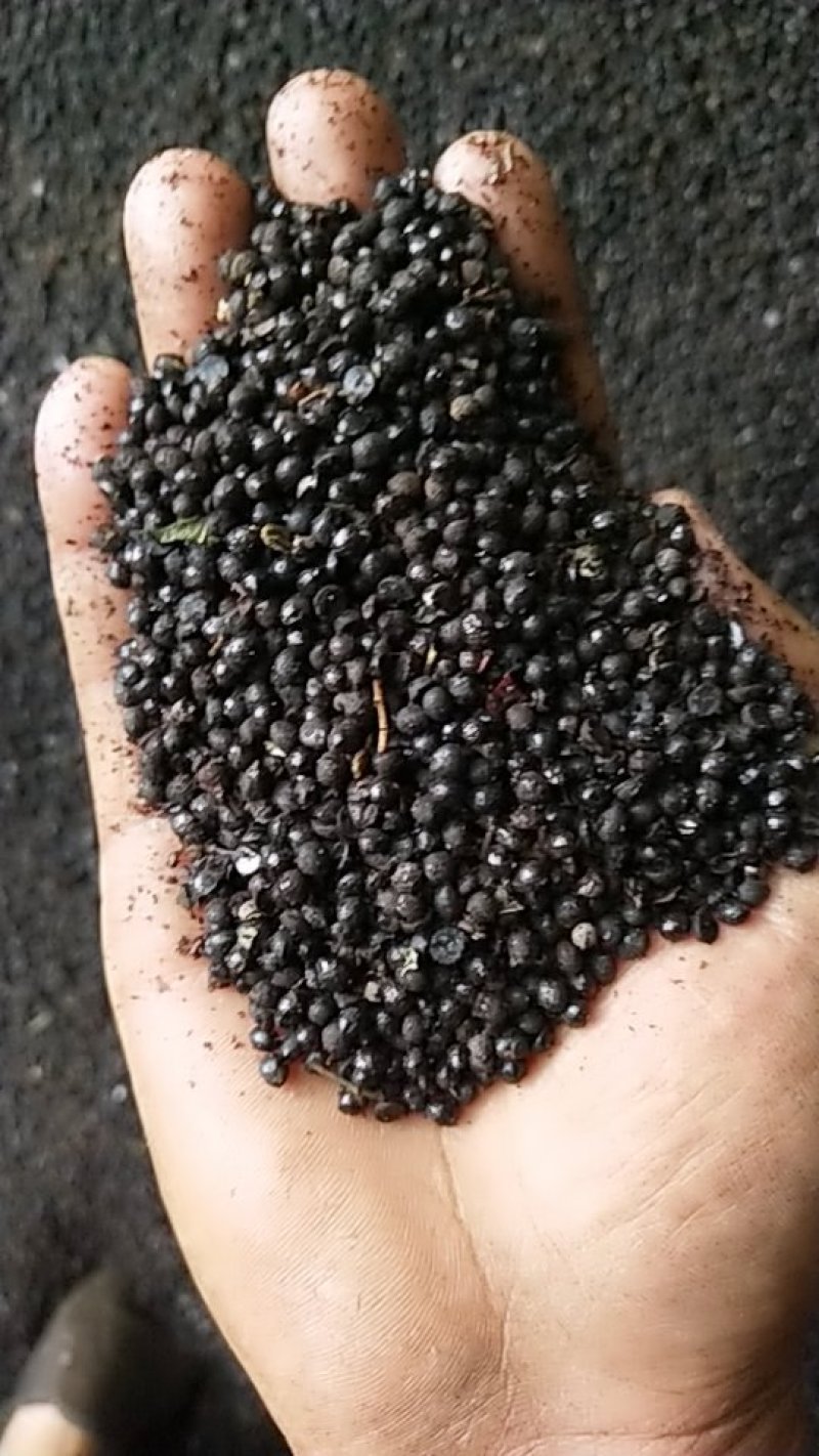 色选优质花椒子，
