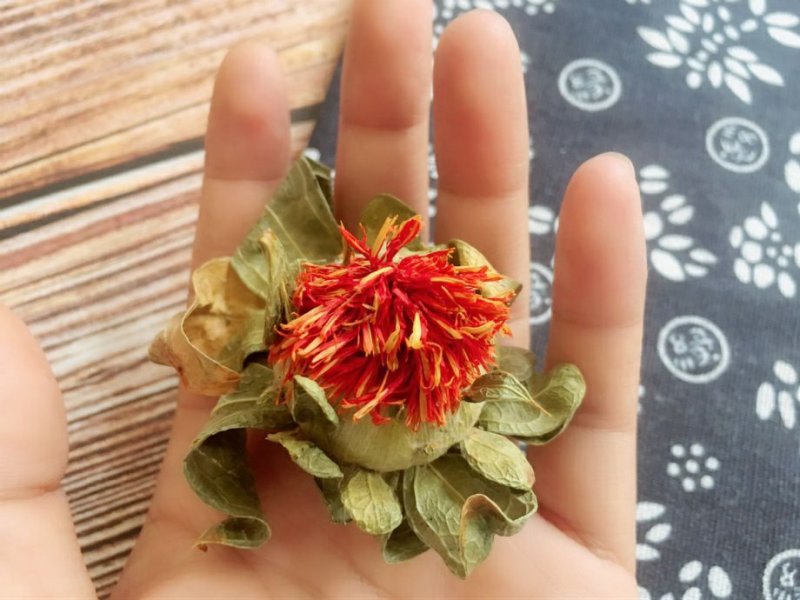 供应优质红花红花头橙菠萝花地摊畅销新产品
