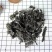 紫菜干货无沙免洗野生碎紫菜干货散装500g克一斤包邮产