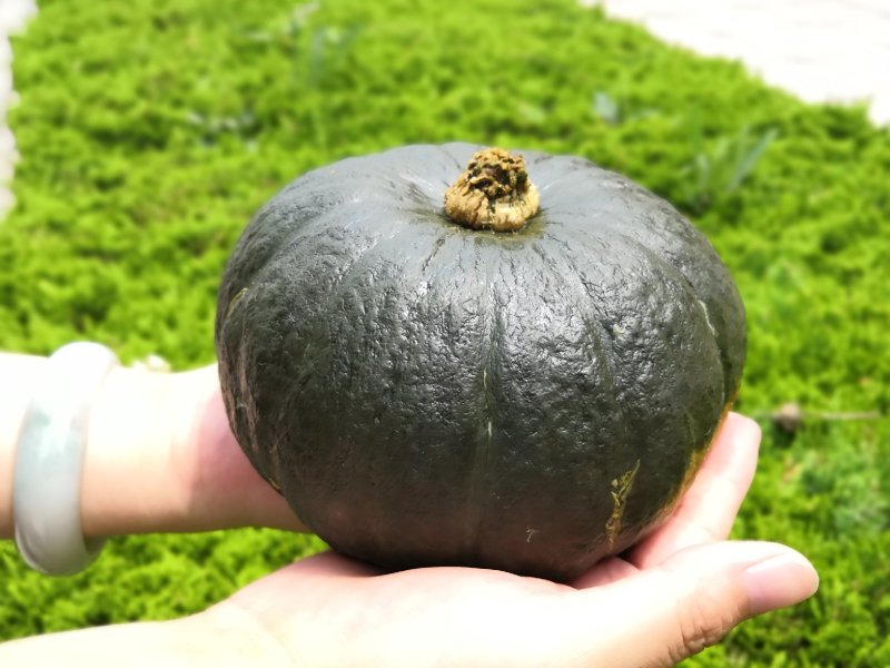 贝贝南瓜香甜粉糯五斤15包邮