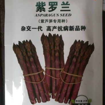 紫芦笋种子紫色芦笋种子高产抗病新品种水果芦笋