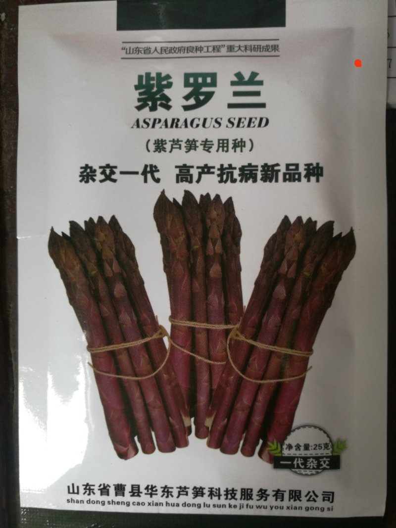 紫芦笋种子紫色芦笋种子高产抗病新品种水果芦笋