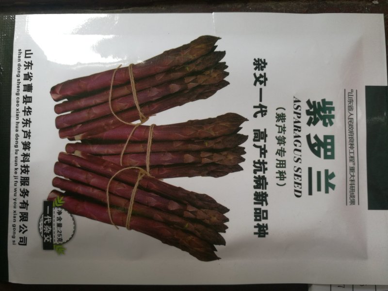 紫芦笋种子紫色芦笋种子高产抗病新品种水果芦笋