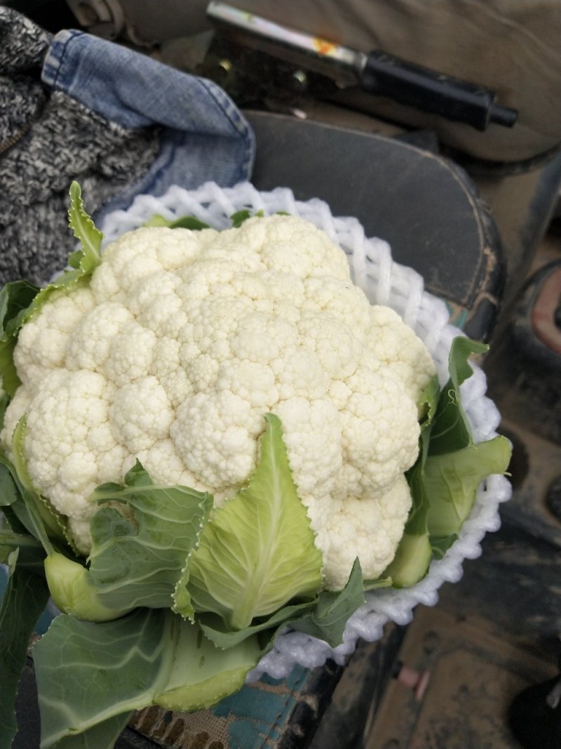 质量很好