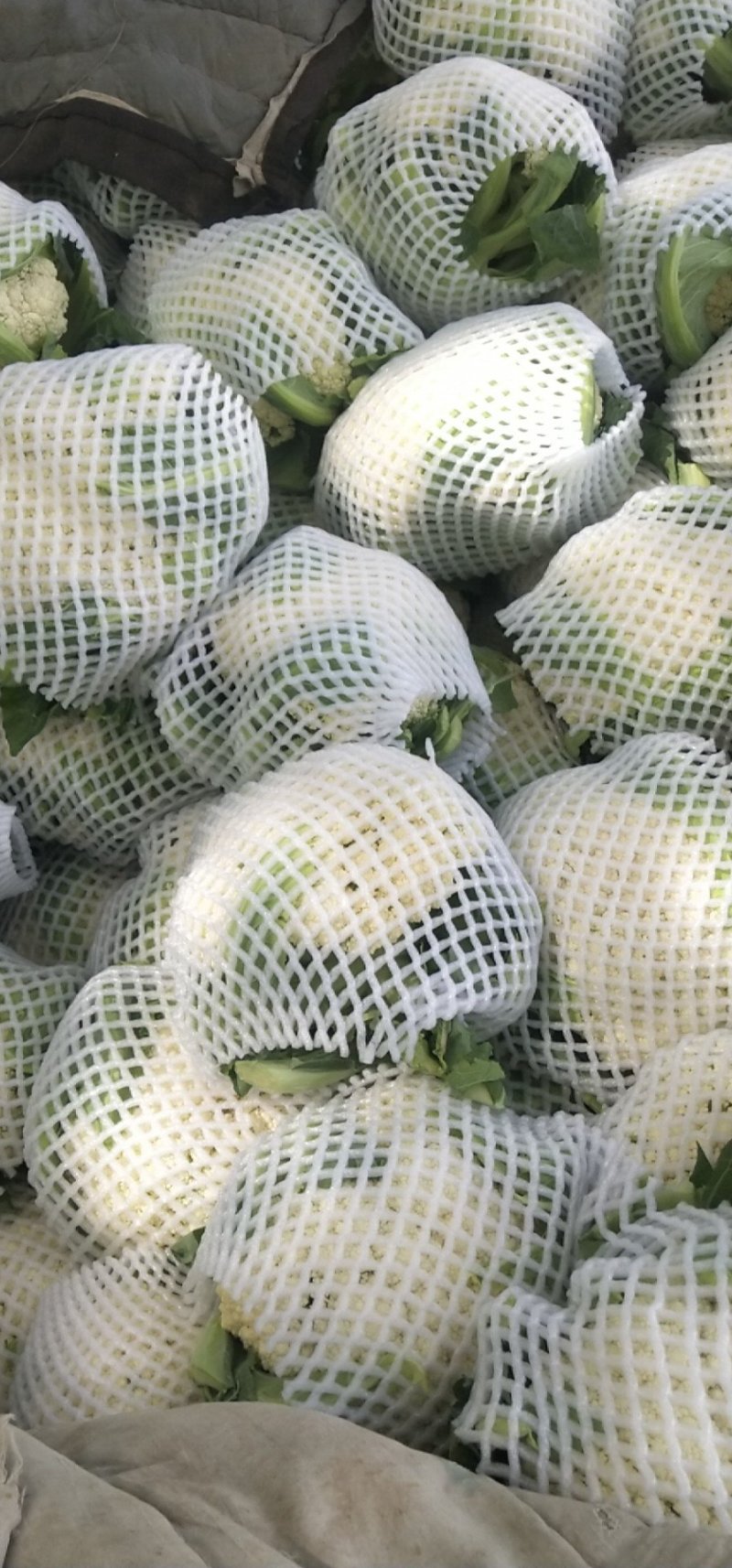 质量很好