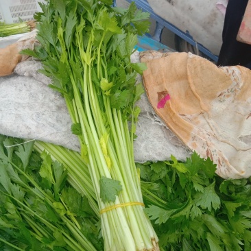芹菜