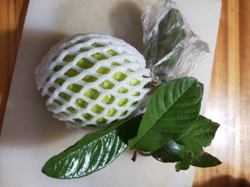 四季帝王芭乐（番石榴）苗