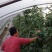 干豆角价格优质量好货物有保证