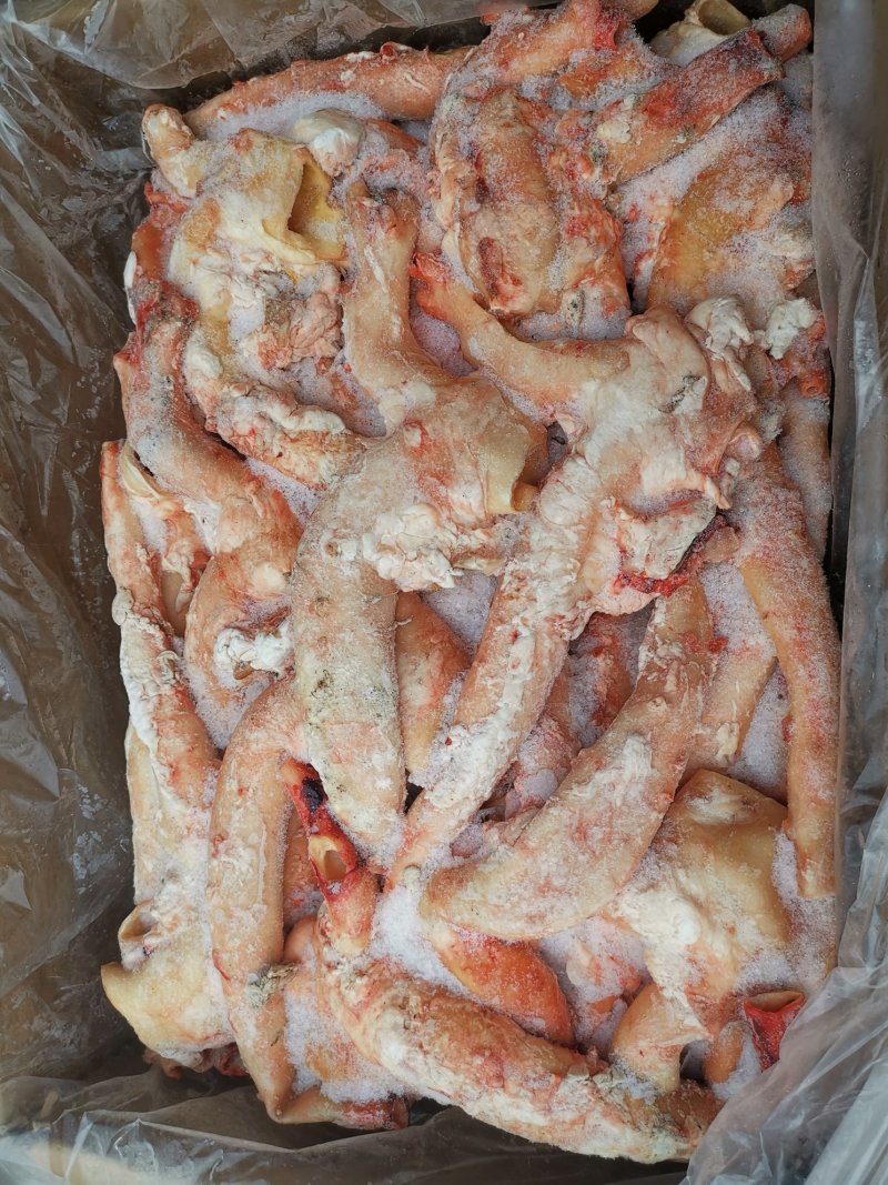 大公牛牛心管