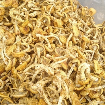 好菇，好味道价格实惠，口感纯正
