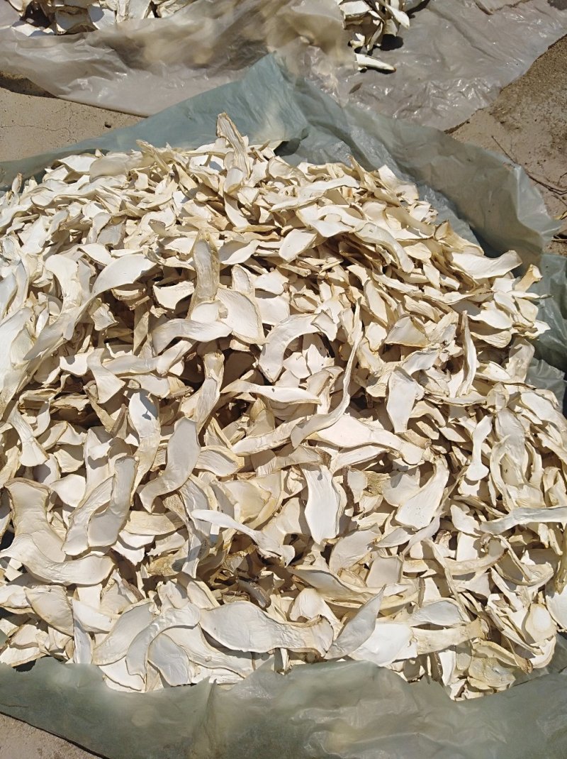 好菇，好味道价格实惠，口感纯正
