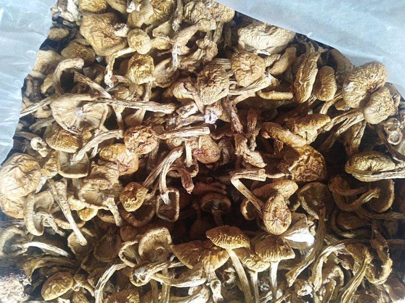 好菇，好味道价格实惠，口感纯正