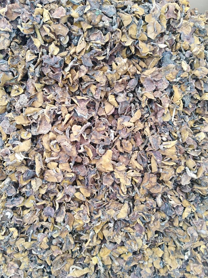 好菇，好味道价格实惠，口感纯正