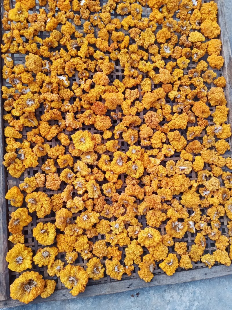 金木耳(纯干货)自家砍树种植的