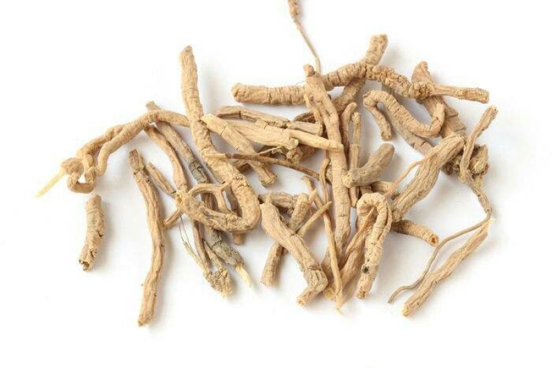 远志含量够抽芯率高专注品质