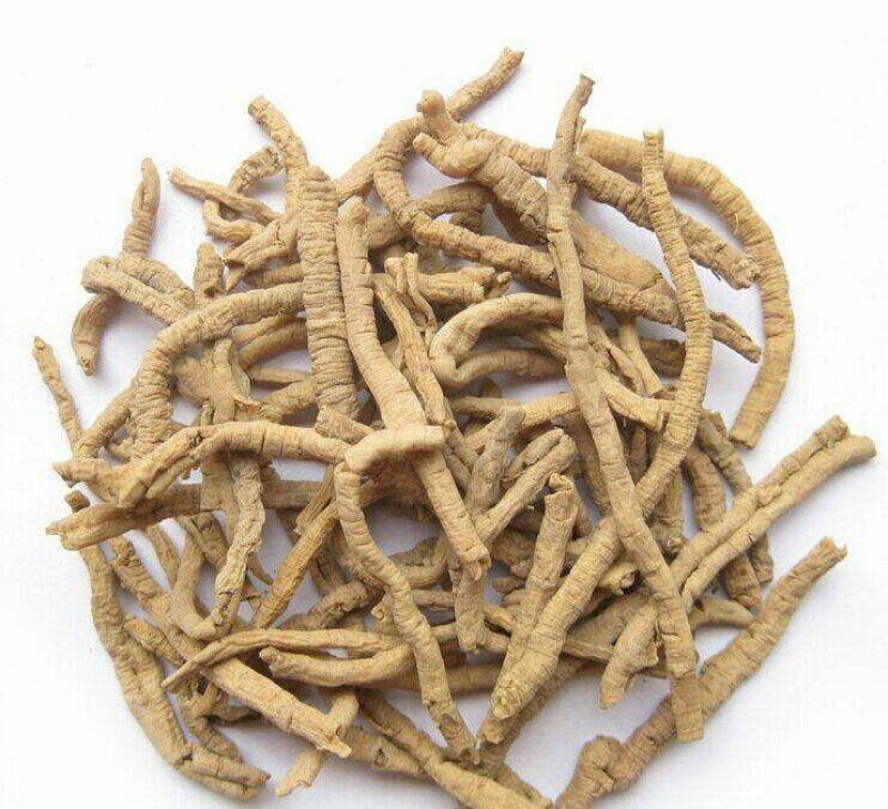 远志含量够抽芯率高专注品质