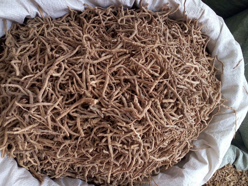 远志含量够抽芯率高专注品质