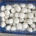 3-6切跟菇，日产4000斤，非诚勿扰
