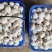 3-6切跟菇，日产4000斤，非诚勿扰