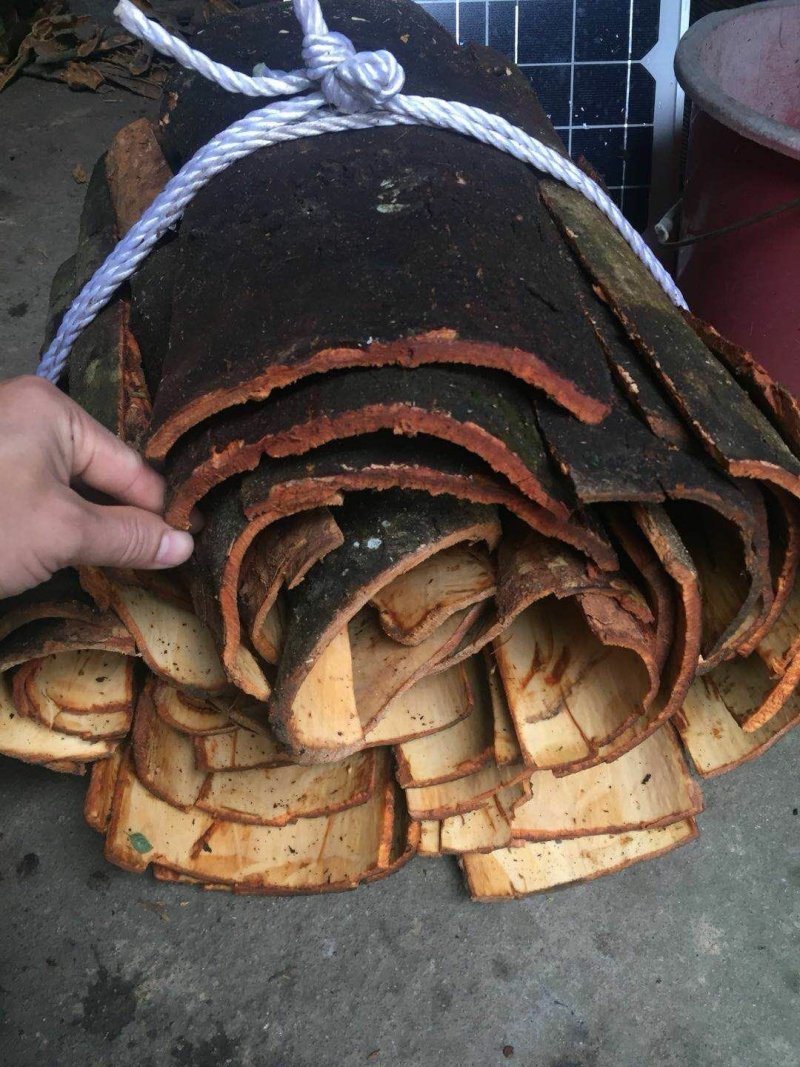 肇庆肉桂，桂皮