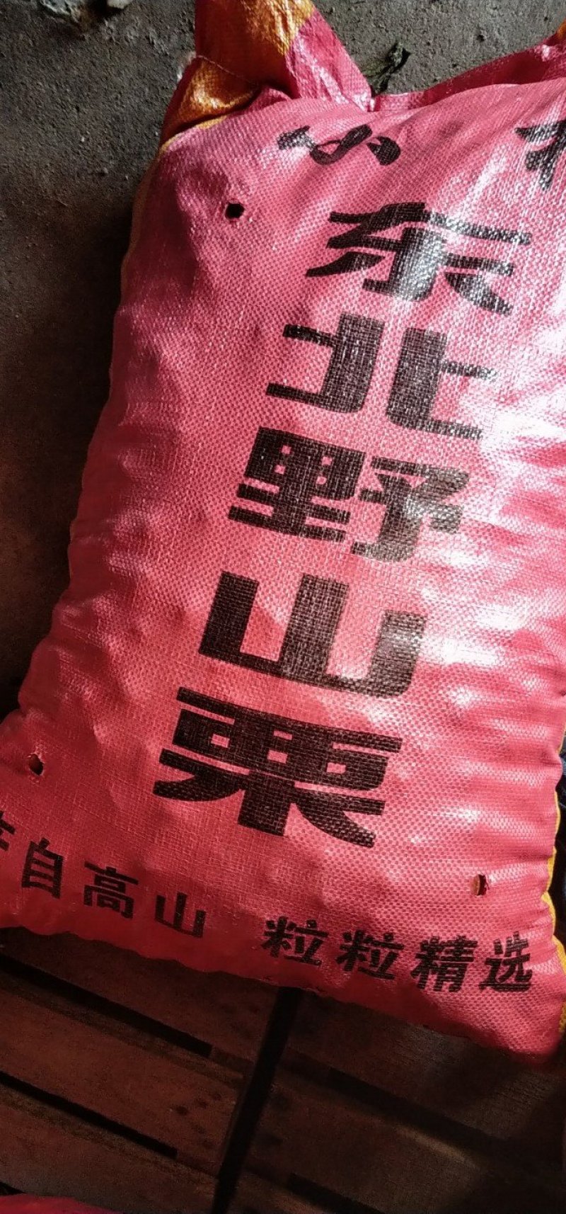 丹东！大板栗！油栗9113