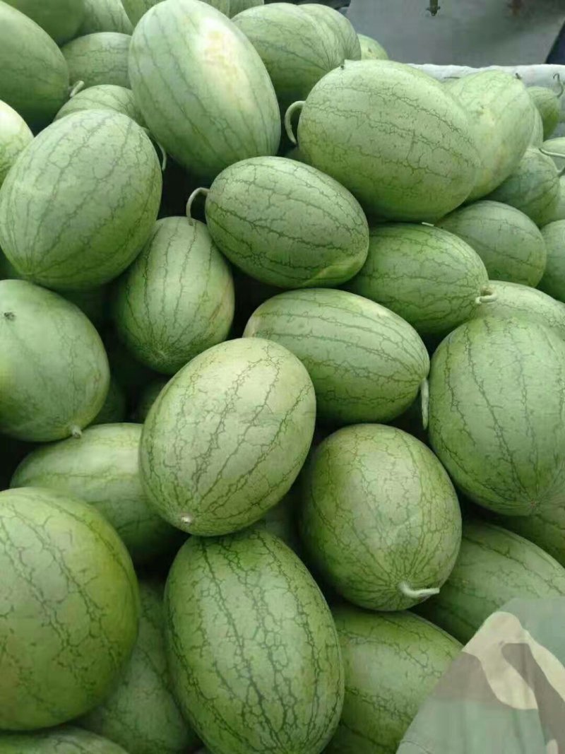 菠萝蜜西瓜，