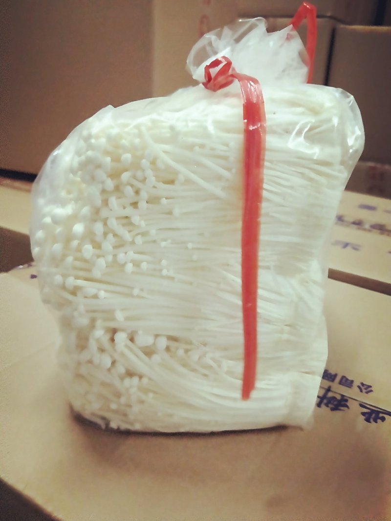 女娲金针菇