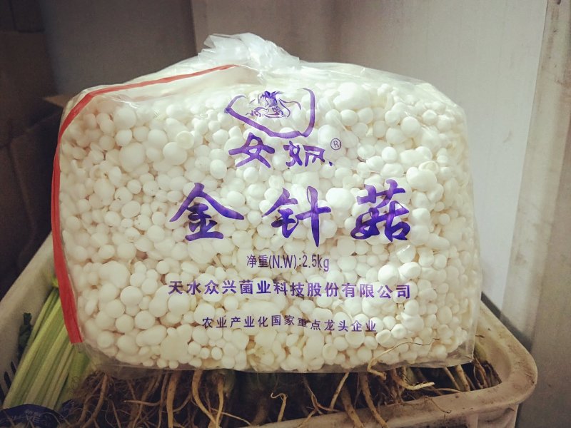 女娲金针菇