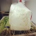 女娲金针菇