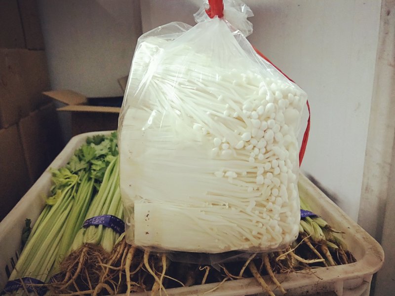 女娲金针菇