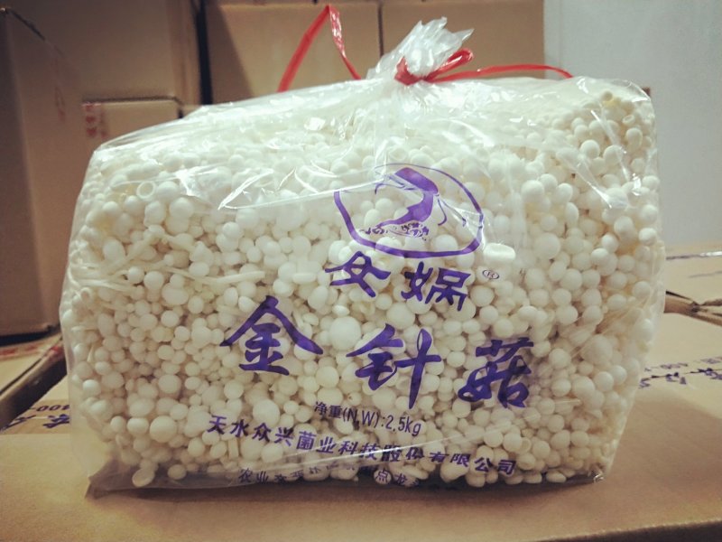 女娲金针菇