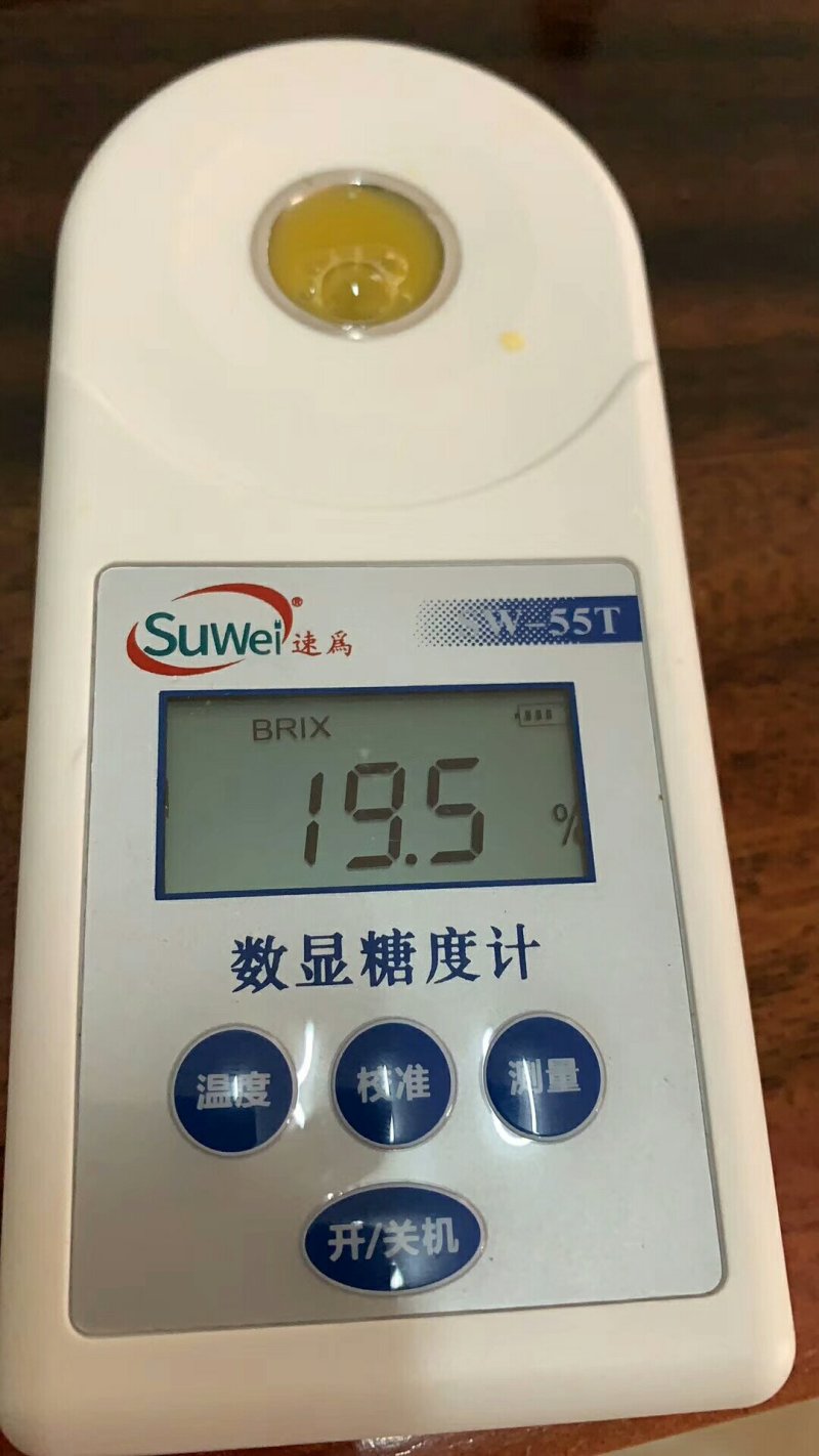 福建黄金百香果3斤装大果新鲜当季水果黄皮果批发一件代发