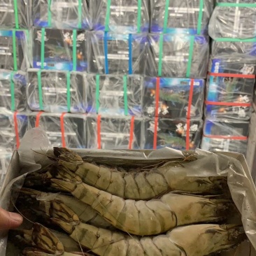 越南野生黑虎虾野生黑虎虾