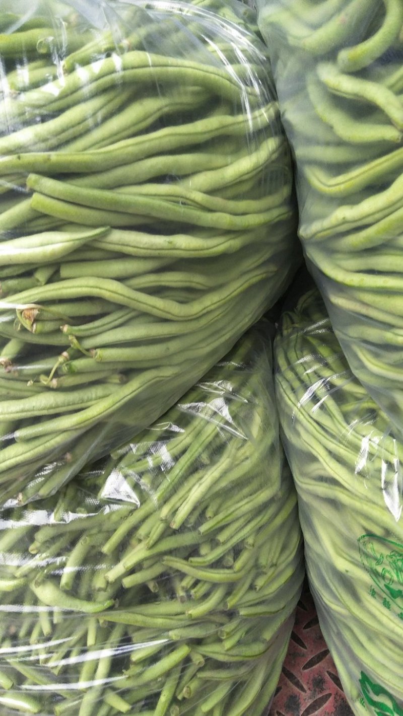 精品豆王大量上市中