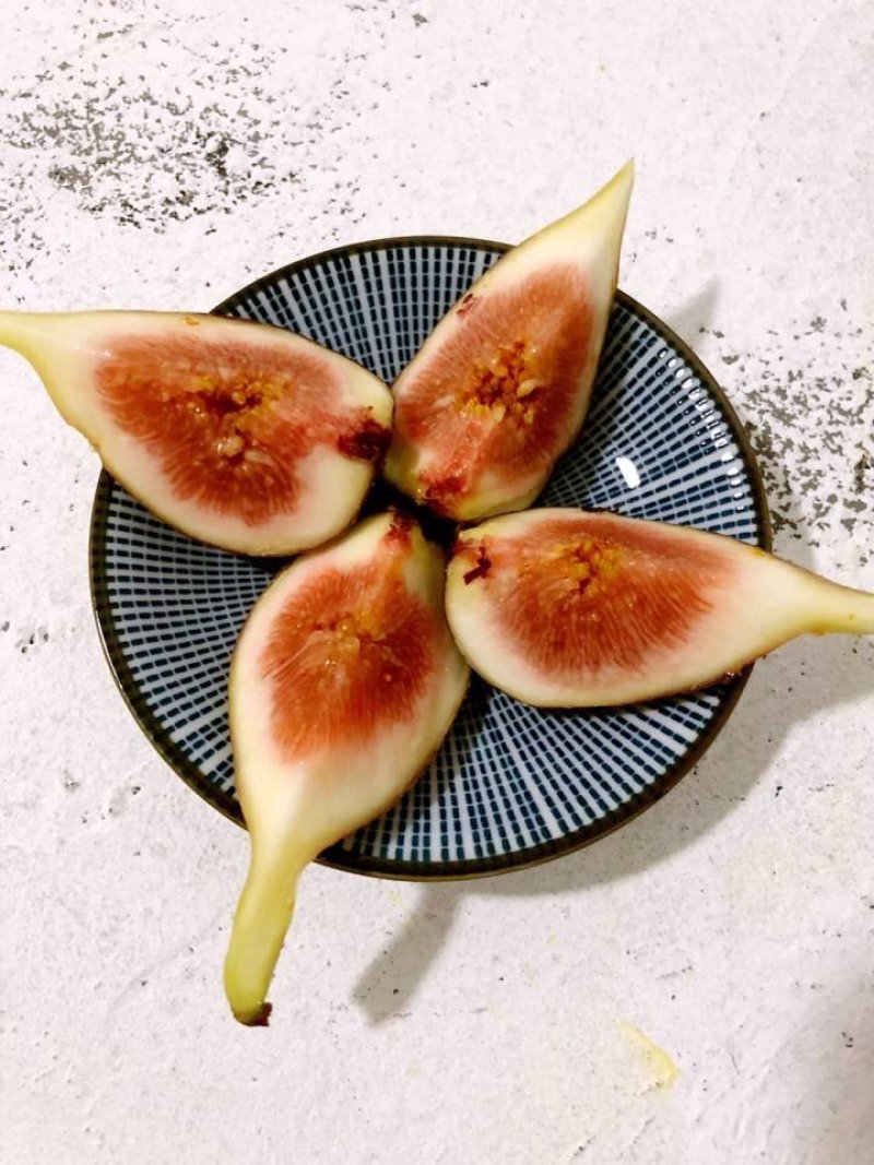 有机种植高品质无花果