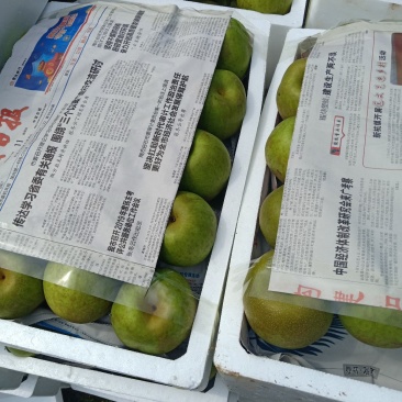 翠冠梨