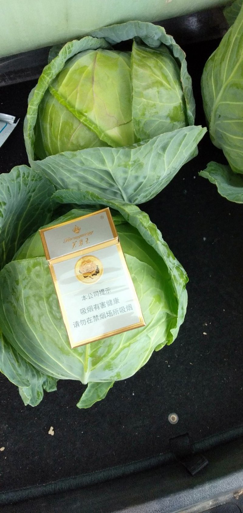 小包菜