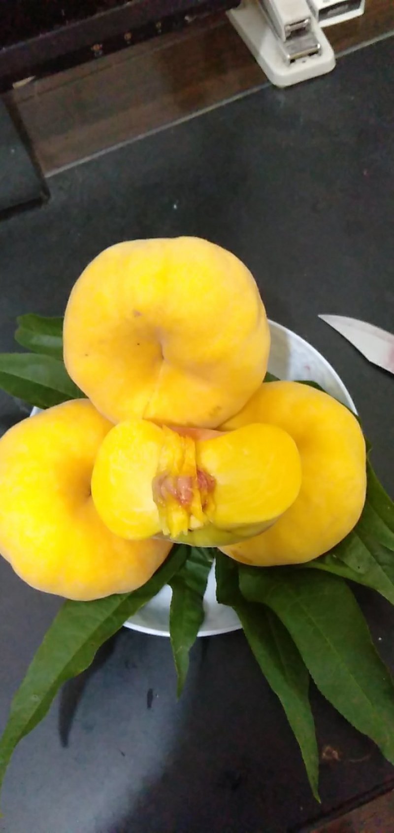 黄蟠桃