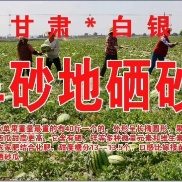 硒砂瓜