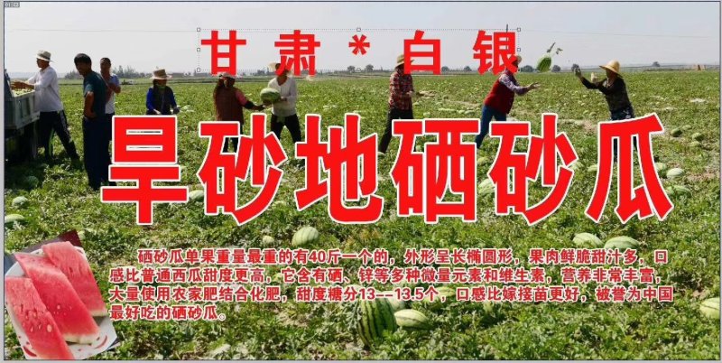 硒砂瓜