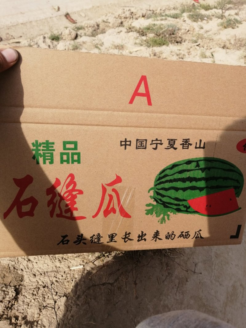 硒砂瓜