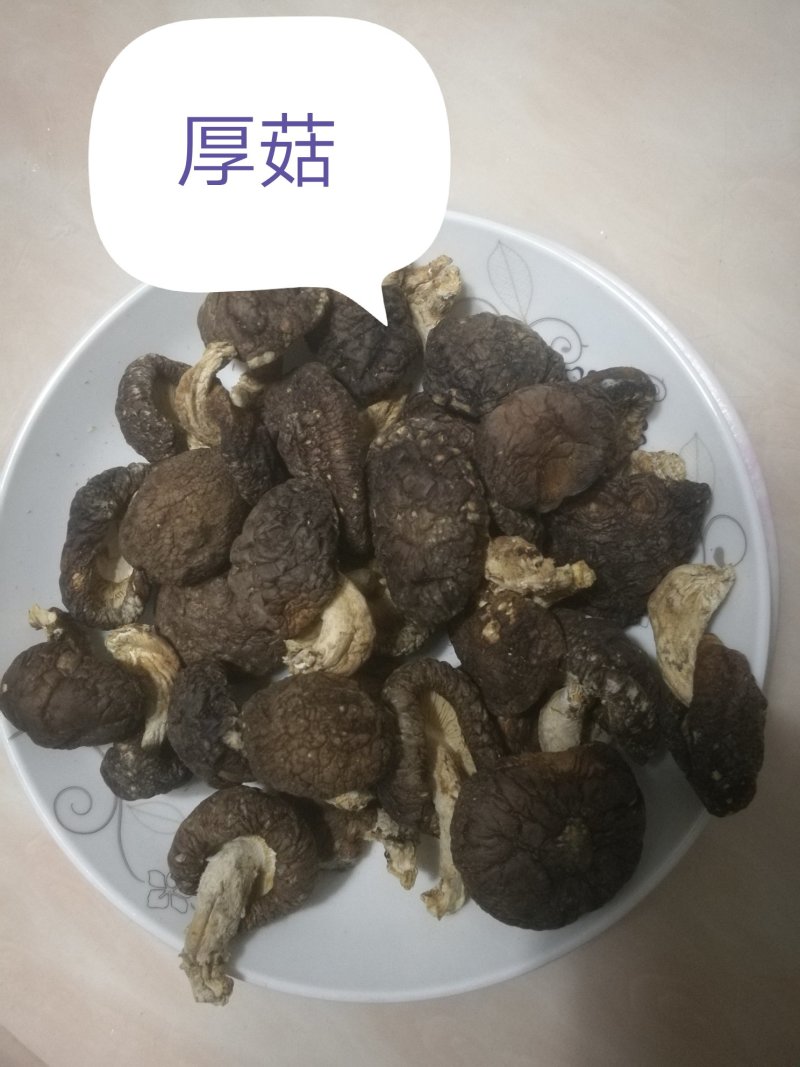 神农架野生厚菇
