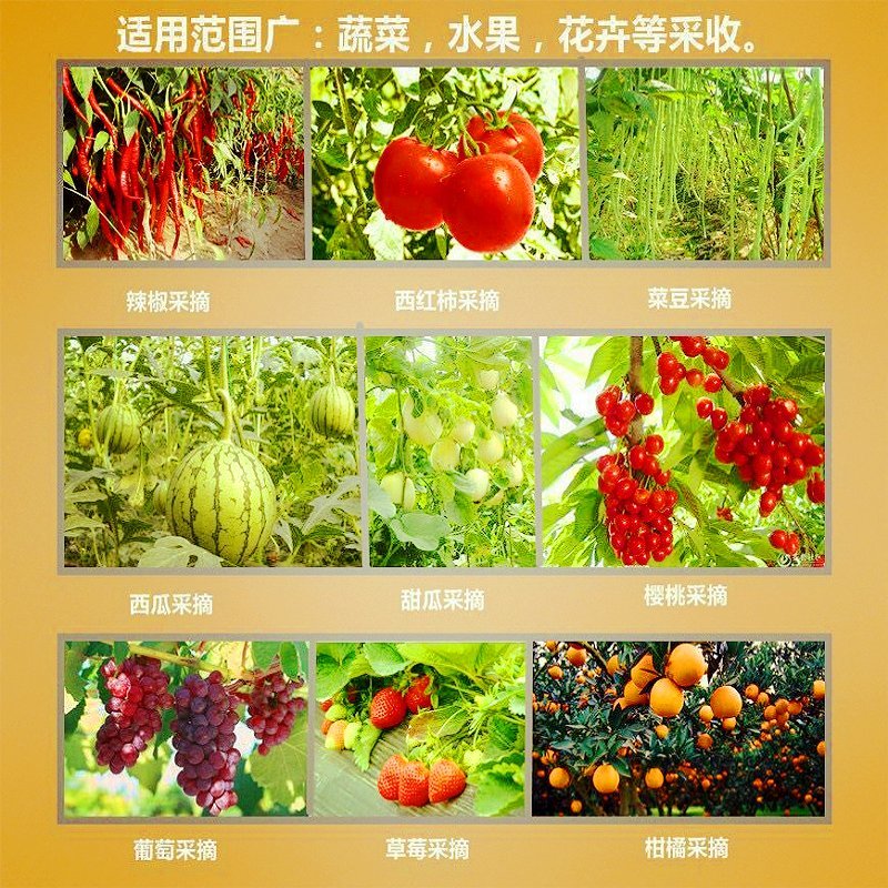 采摘刀采摘器摘豆角葡萄掐须打尖摘果神器