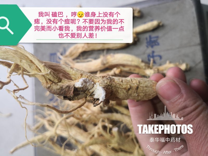 【聚便宜】残参性价比高包邮生晒参白参人参长白山吉林