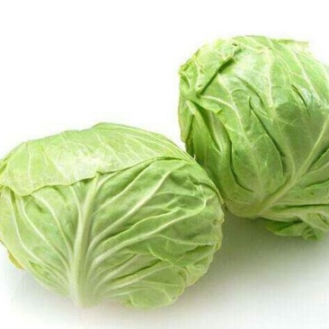 包菜