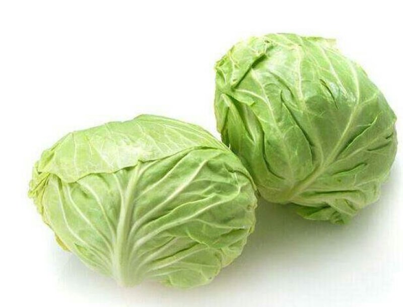 包菜