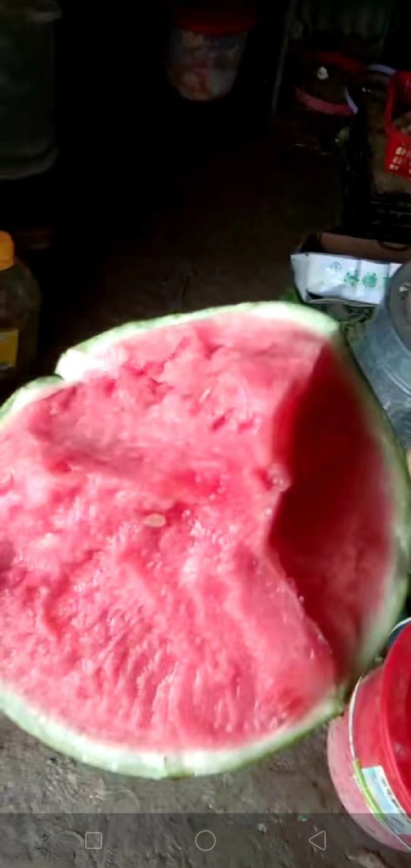 8424西瓜🍉